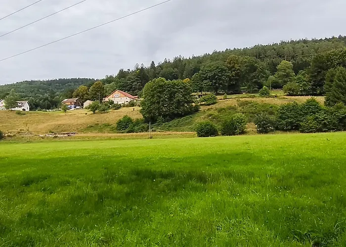 アパート Chtite Vosgienne 4 Etoiles Cosy *