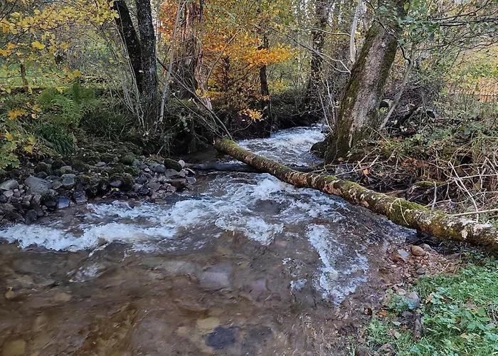 Chtite Vosgienne 4 Etoiles Cosy Vecoux