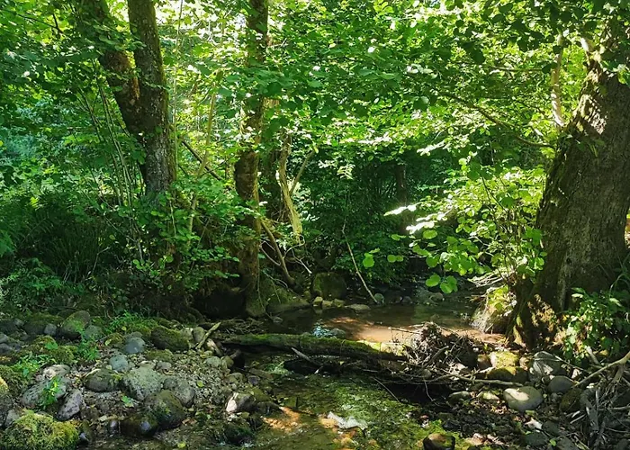 Chtite Vosgienne 4 Etoiles Cosy アパート *